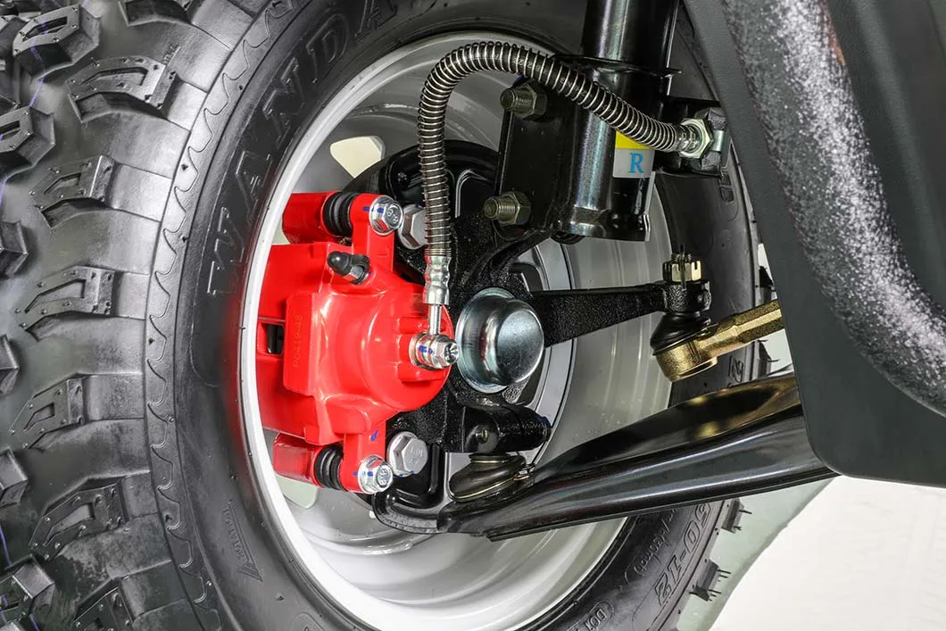 Flexible Brake Parking System