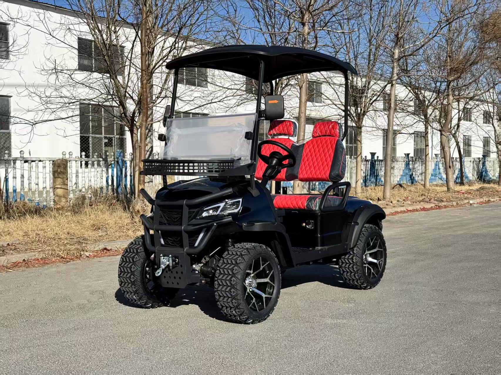 Mini Golf Cart 2-Seater | Luxurious Seats, 60V 100AH, 100km Driving Range, CE DOT Approved