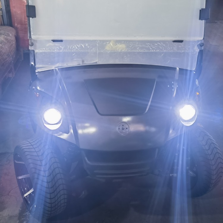 Mini Electric or Gasoline Powered 2 Seater Small Golf Buggy Cart