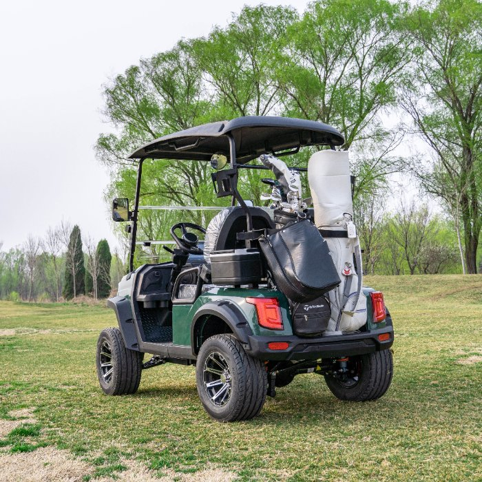 Enclosed Golf Cart Weatherproof Cabin Golf Buggy with Heater &amp; Windshield for Cold Climates