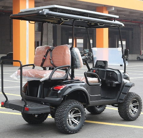 Lvzo Ride Comfort: Electric Golf Cart with Shock- Absorbing Suspension