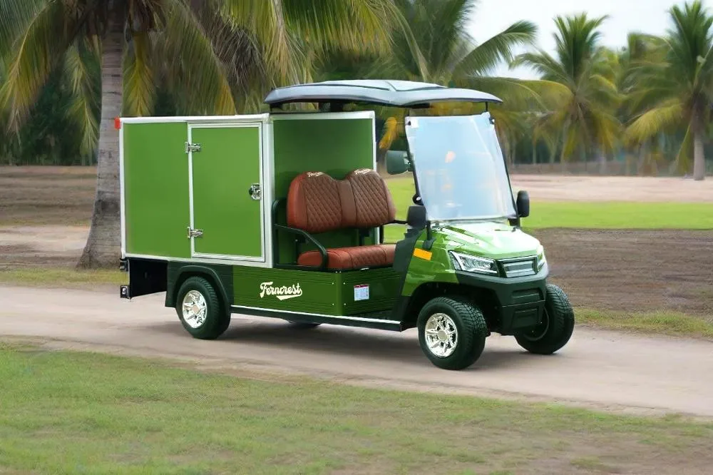 2 Person Rear Cargo Box Utility Electric Golf Carts