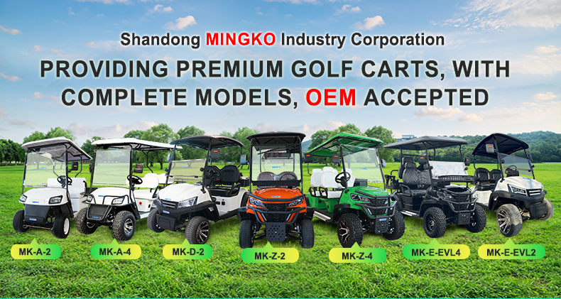 MINGKO Golf Cart Detail 1