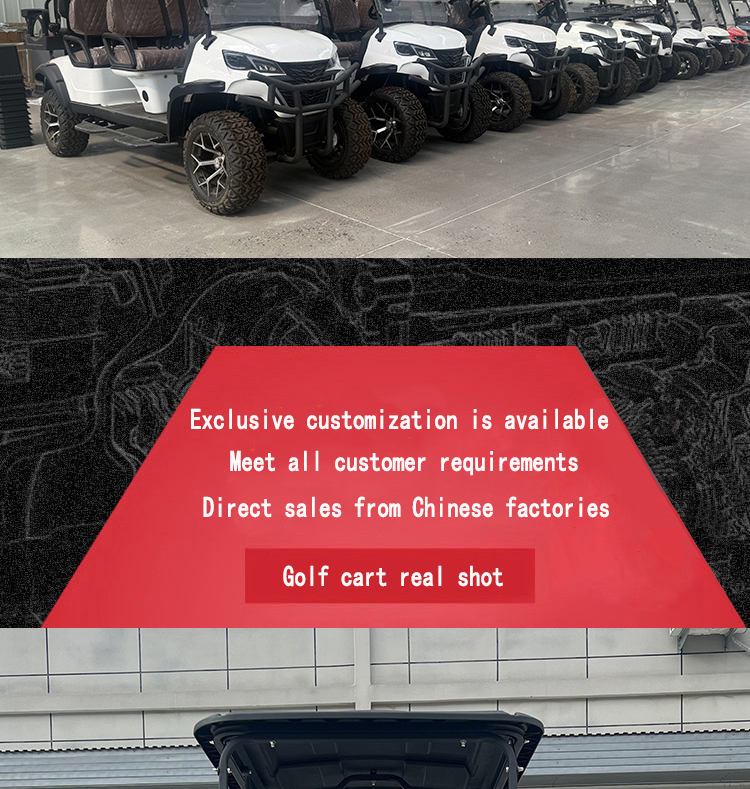 Luxury Electric 6seats Offroad Golf Cart Certified by CE DOT