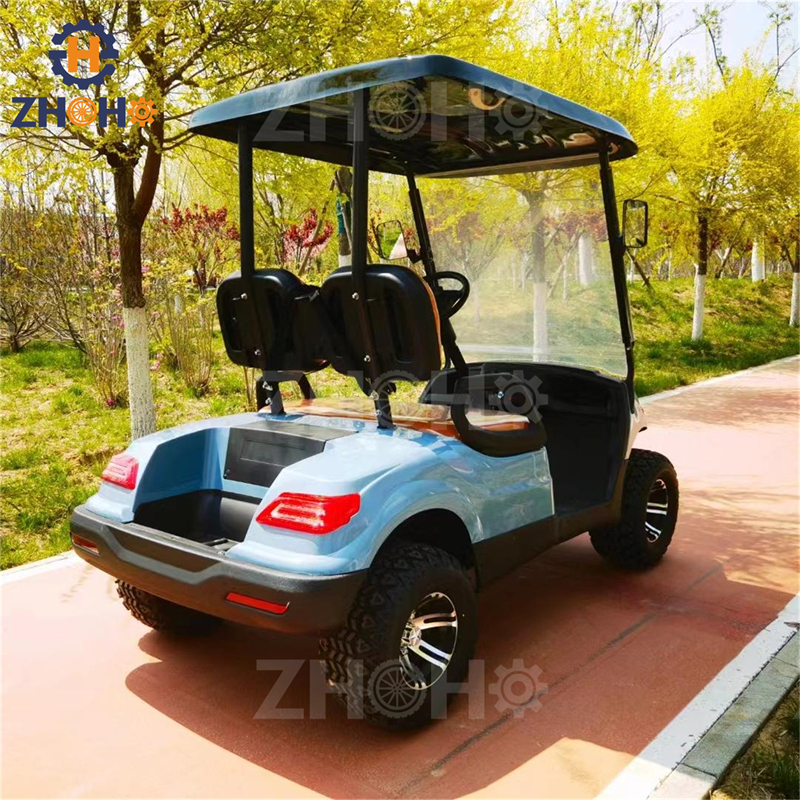Small 2 Seater Gasoline Golf Cart US Legal Road Golf Cart Customizable