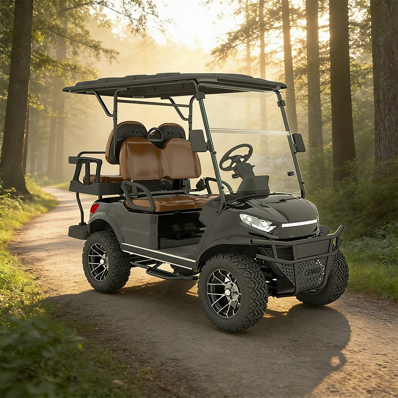 Cengo Easy-to-Drive 2-Seater Golf Cart - Comfort and Convenience in One