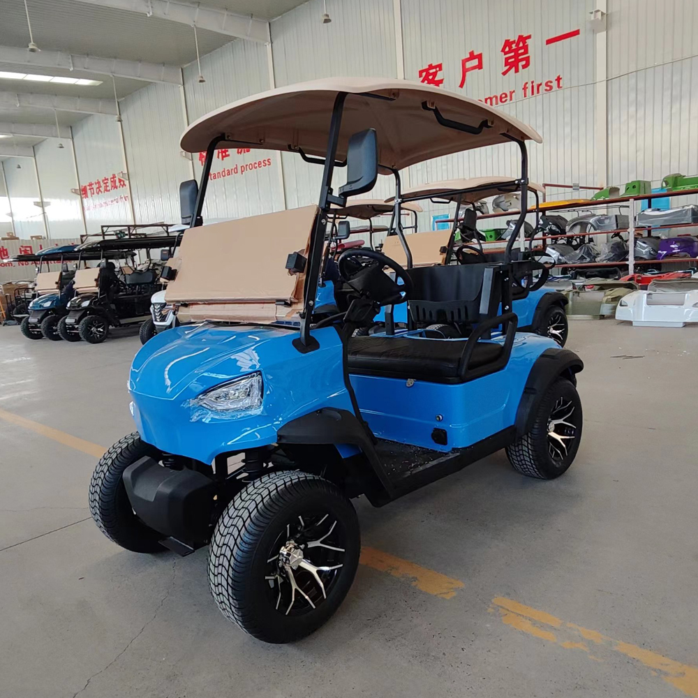 Mini Golf Carts for Adults 2 Seats 2 Passenger Street Legal Utility Vehicle Electric for Personal Use Golf Course Hunting Club