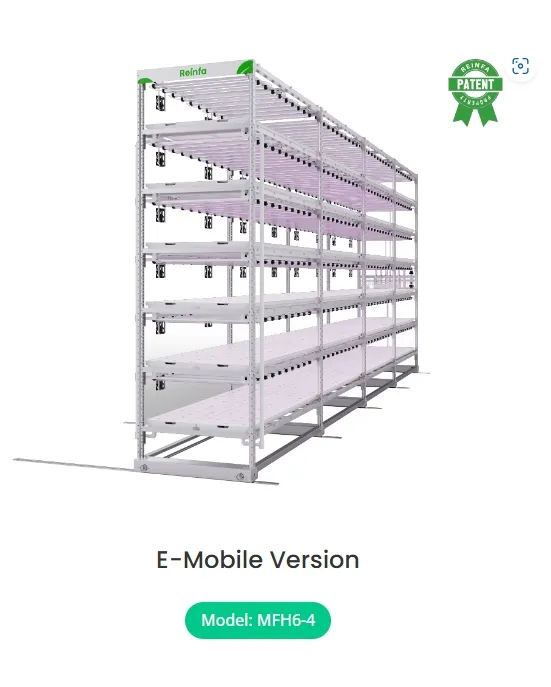 Hydroponic System Nft Technology - Modular Vertical Grow Racks & Full-Spectrum LEDs for Commercial Farms