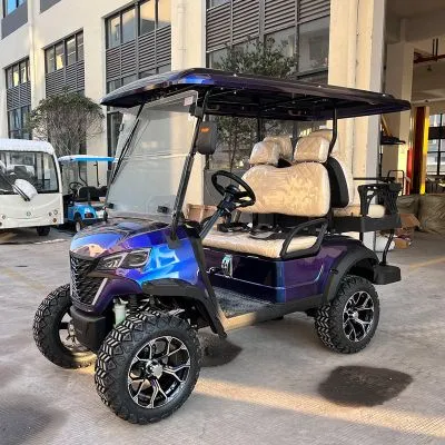 Electric Golf Cart Seat View