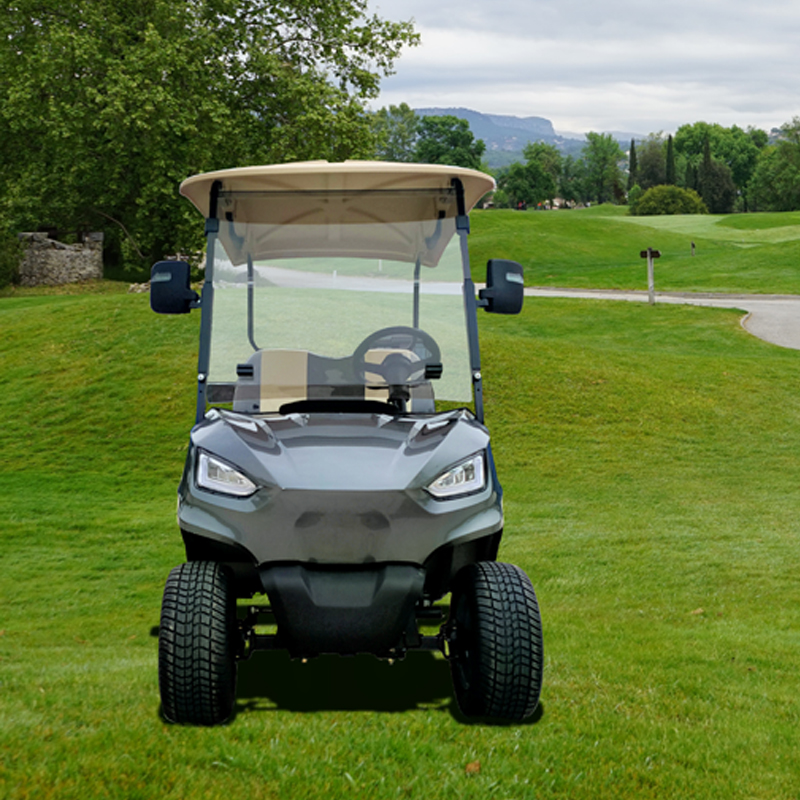 High Quality 2-Seater Electric Golf Cart on Sale Promotional Mini Golf Cart