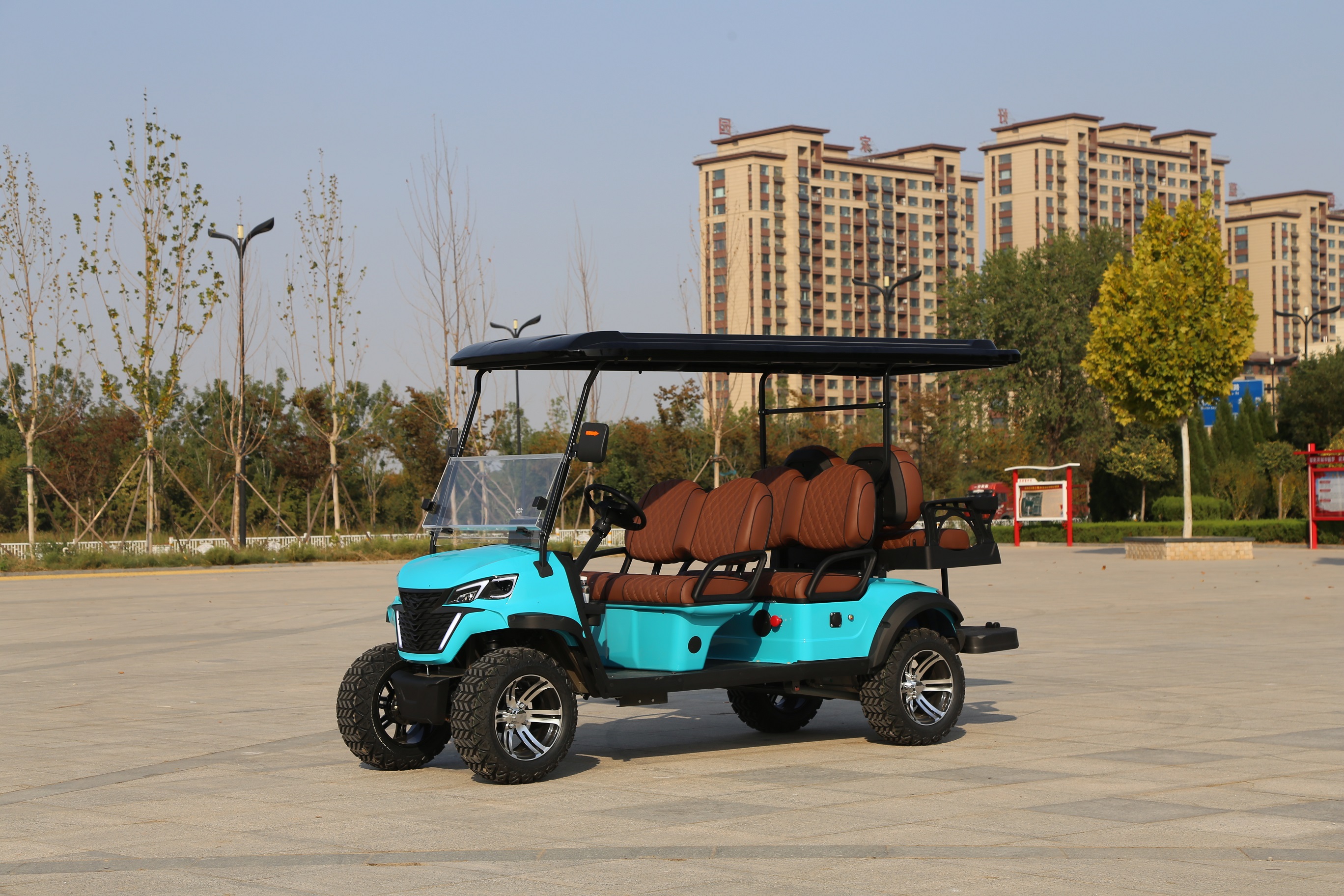 Golf Car Detail 2