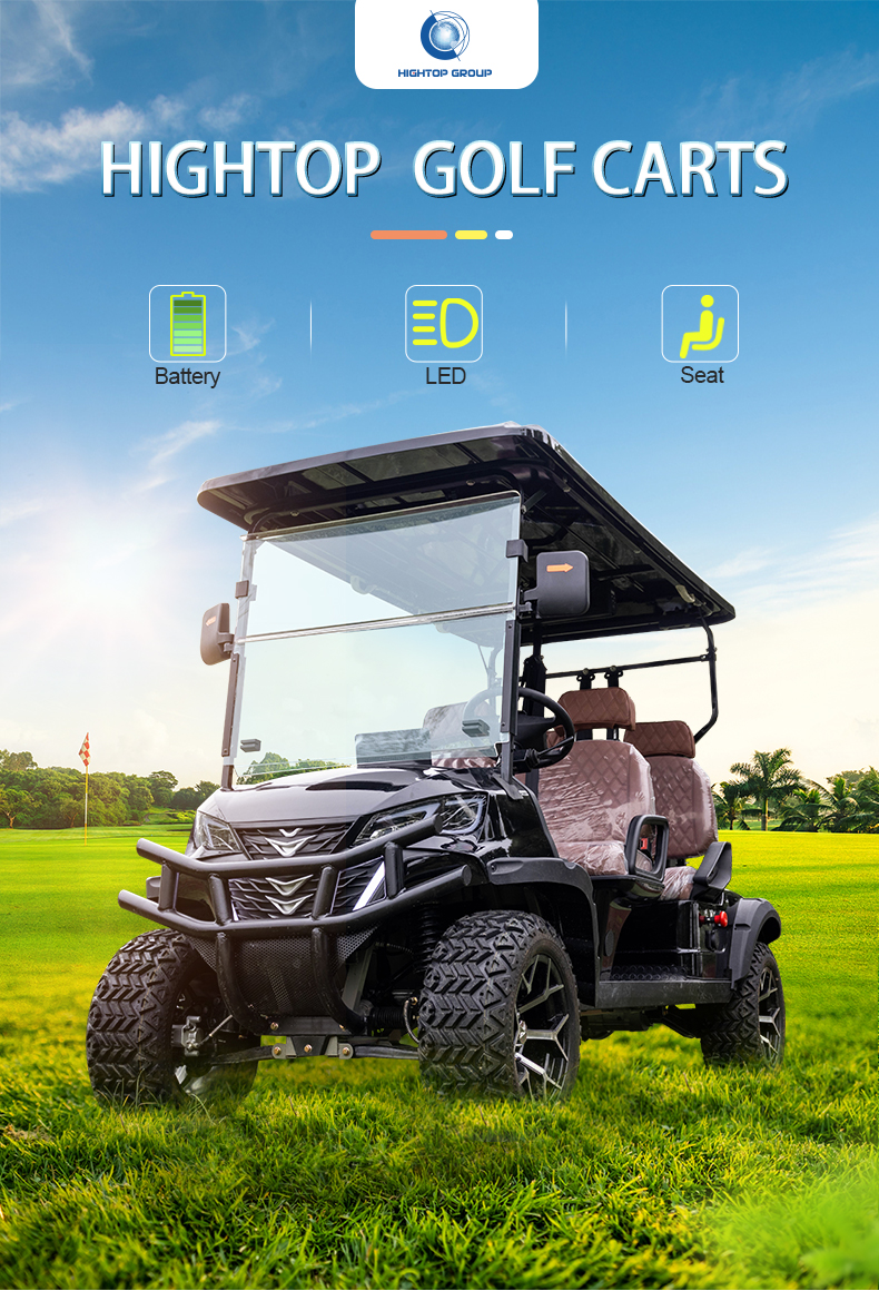 Electric Golf Cart Rear View