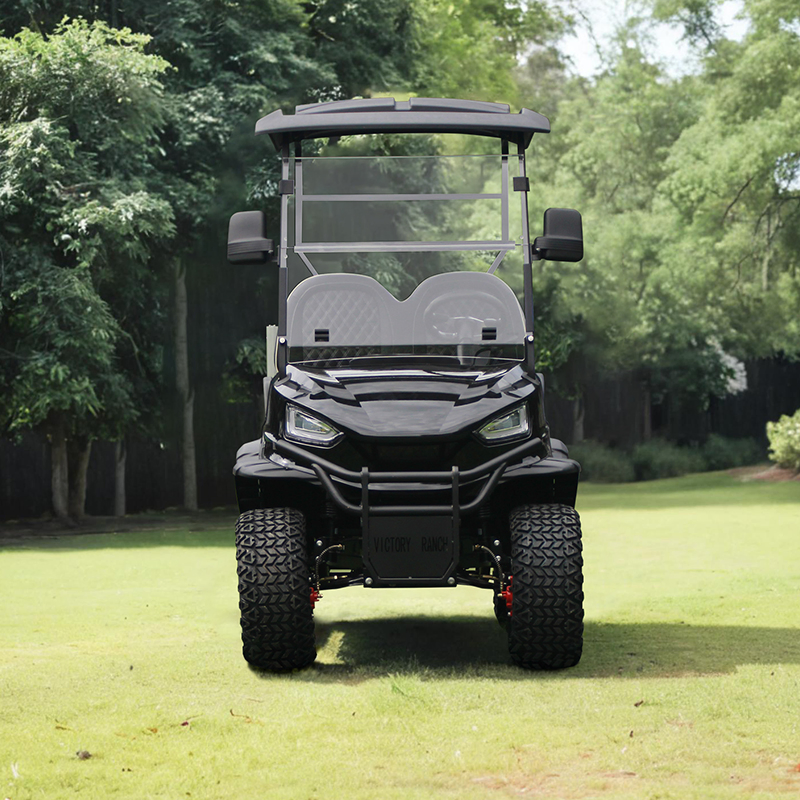 2-Passenger Utility Lifted Golf Cart with Aluminium Cargo Box