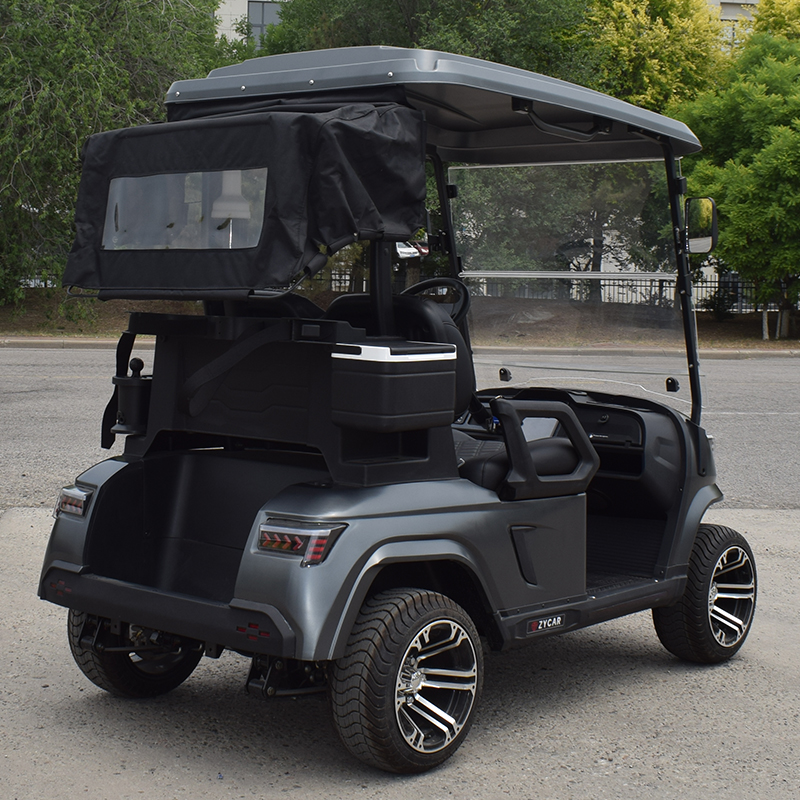 Customizable 2-Seater Electric Utility Golf Cart, Lithium Battery Golf Buggy For Sale