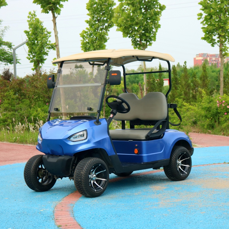 JG Mini Luxury Cheap 2 Passenger 2 Seater 2 Seats Antique Electric Classic Golf Cart for Wedding Resort Hotel Golf Cart Truck