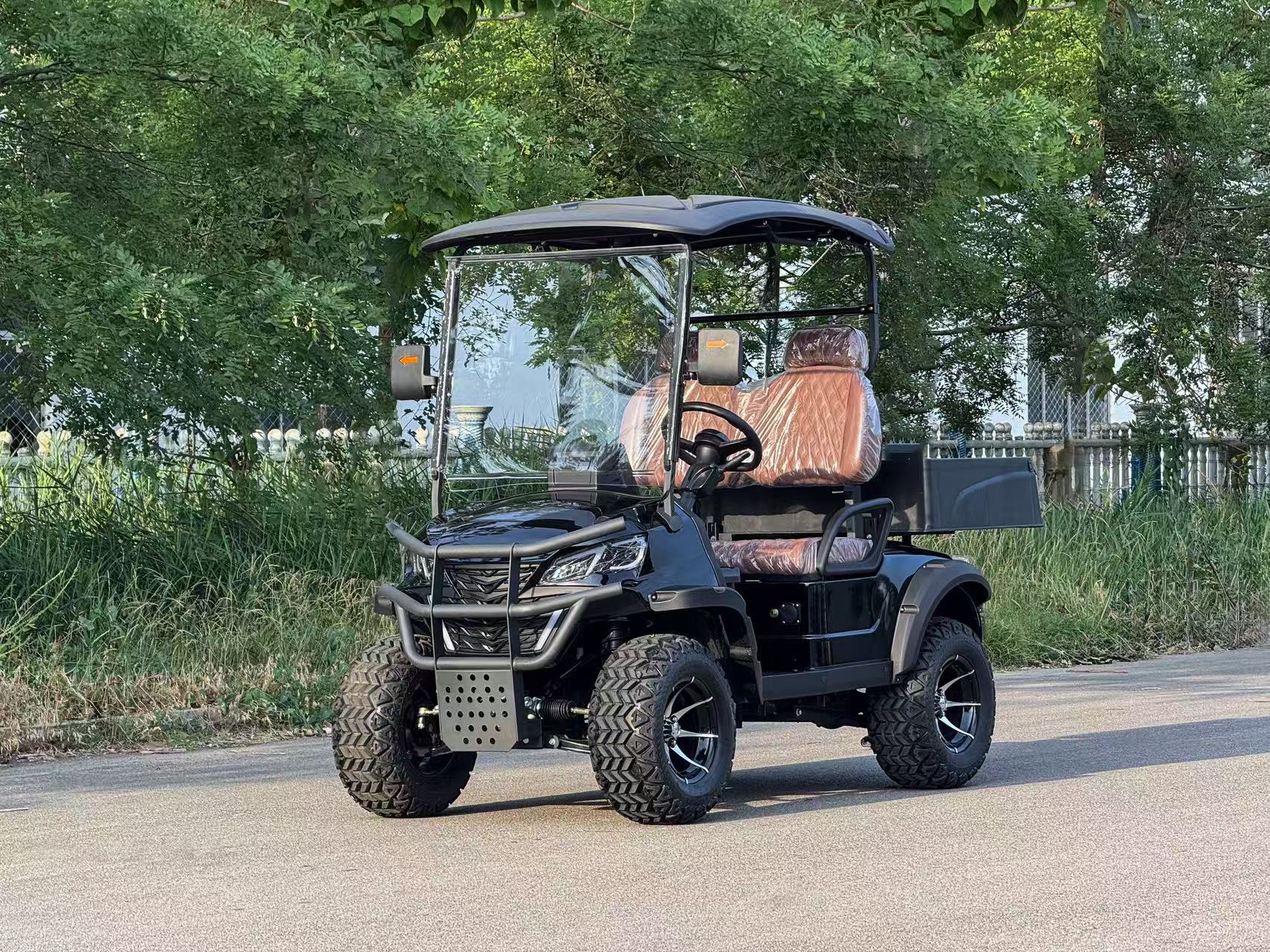 Mini Golf Cart 2-Seater | Luxurious Seats, 60V 100AH, 100km Driving Range, CE DOT Approved