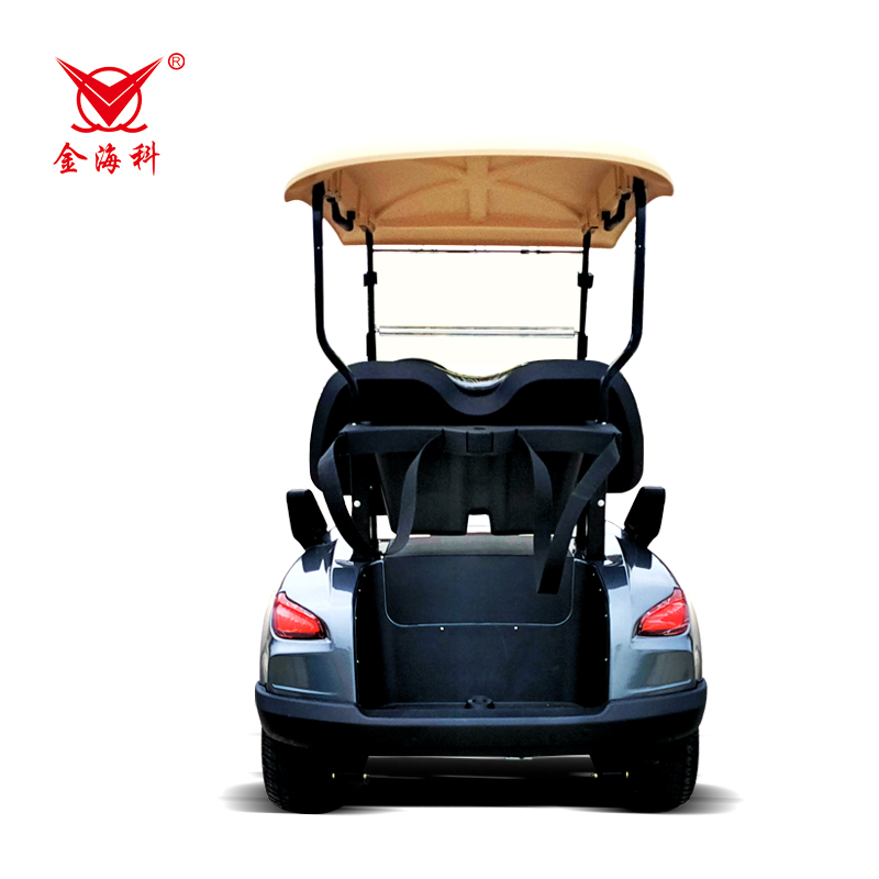 High Quality 2-Seater Electric Golf Cart on Sale Promotional Mini Golf Cart