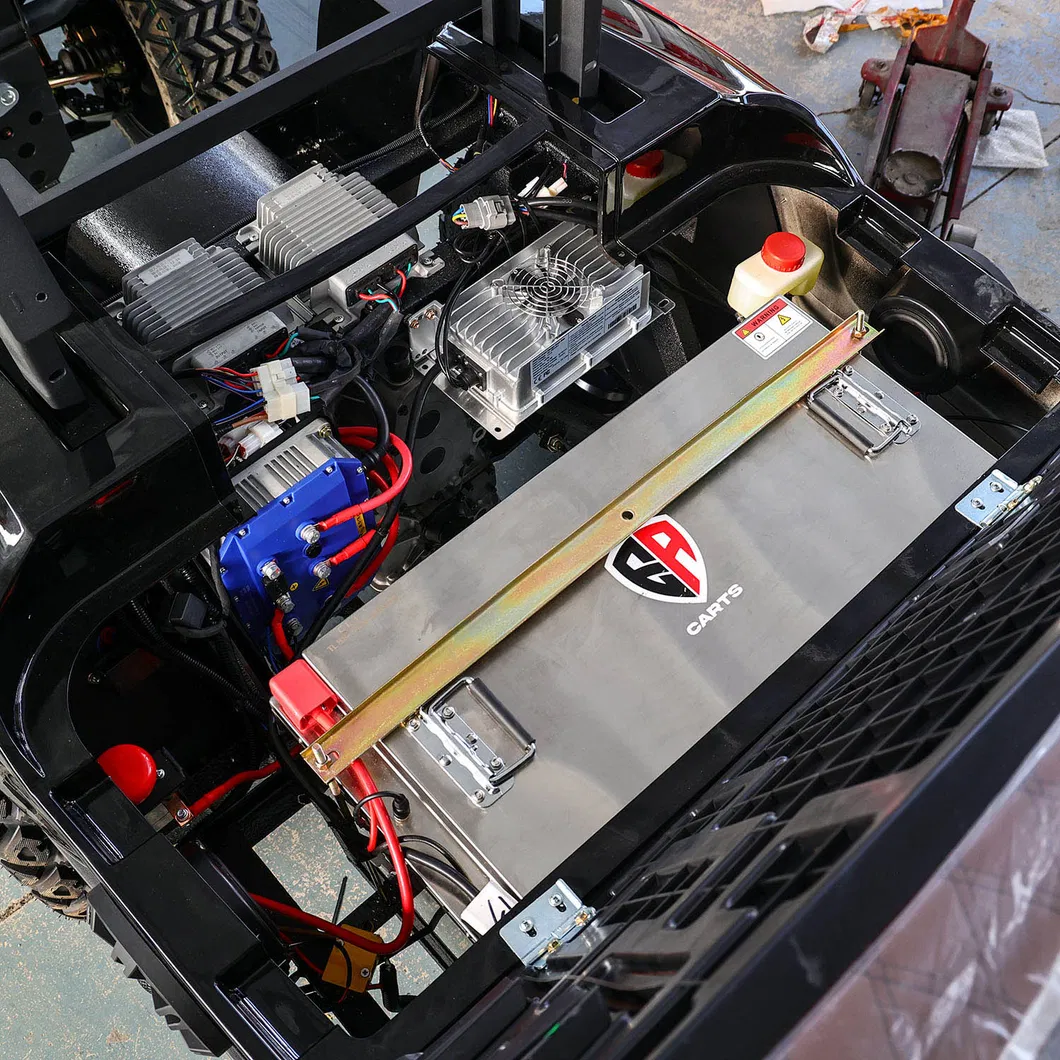Detailed Photo 9