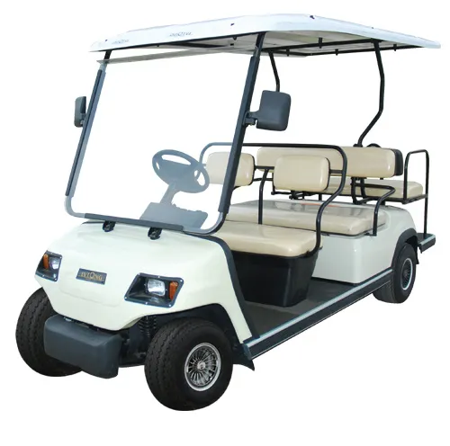 High-Speed 48V Electric Golf Cart Rear view