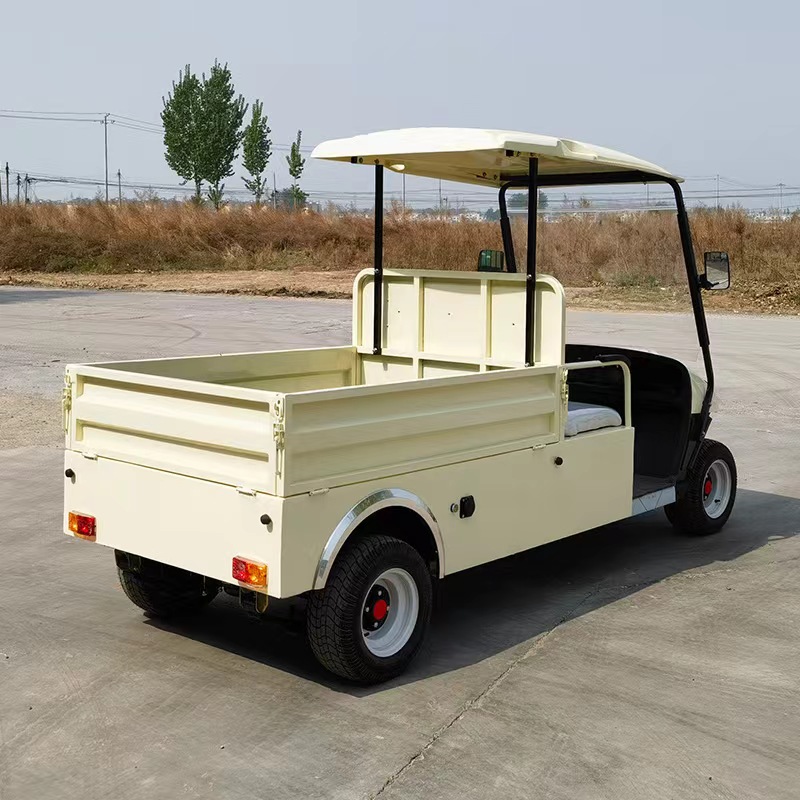 China 2-Seater Golf Cart with Removable Dump Bed Cargo Golf Cart for Hauling