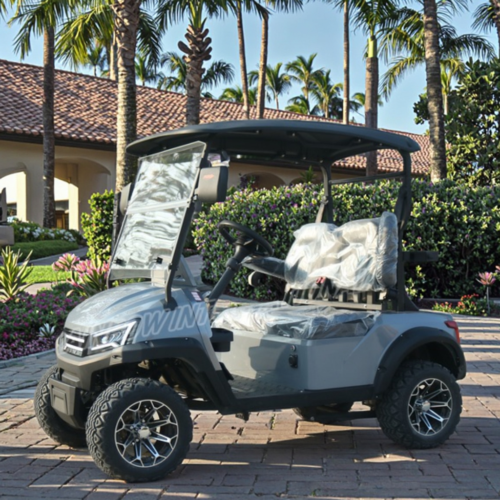 Competitive Price Customized 2 Seater Golf Carts Adults Street Legal Electric Cart Golf Buggy with Folding Backseat