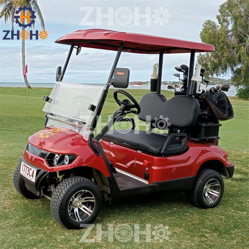 Golf Cart Custom Feature 6