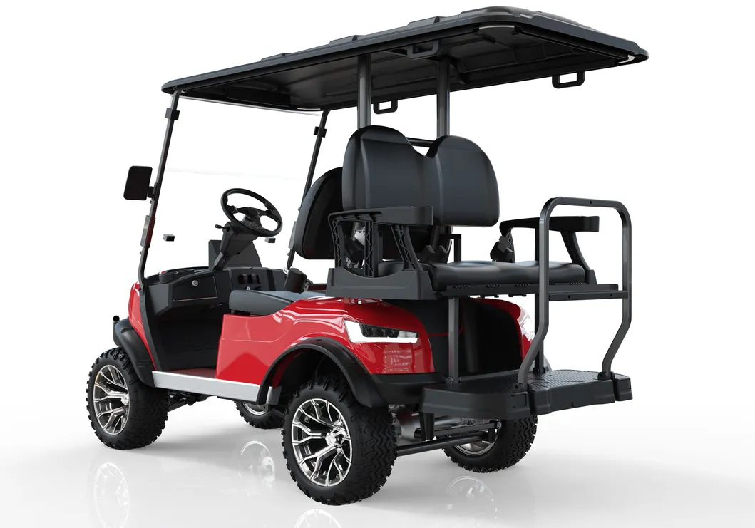 Electric Golf Cart Rear View