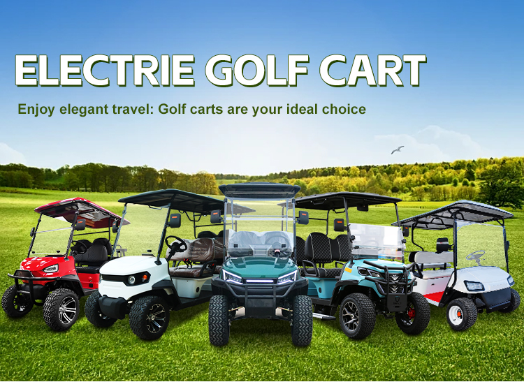 Electric Golf Cart Front Overview