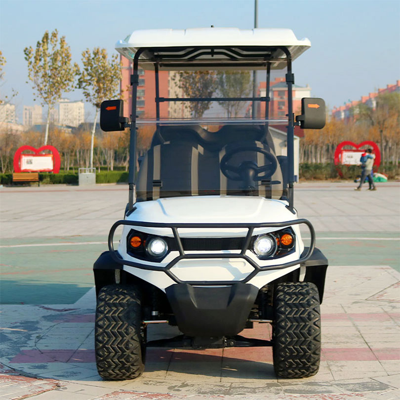 Street Legal 2/4 Seater Electric Golf Car for Personal Commute and Neighborhood Driving Golf Carts