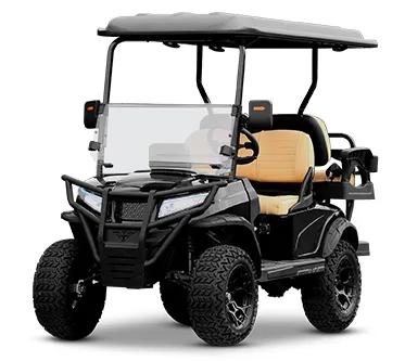 Model Variant View 2