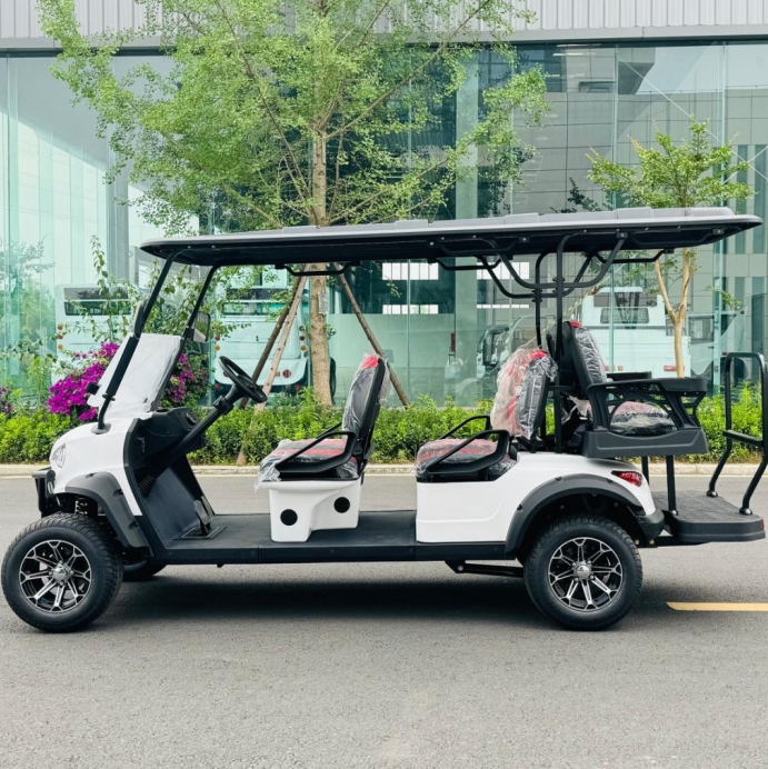 DAOD LSV 6-Seater Electric Golf Cart Street Legal Buggy Car at an Price Quality Trolley for Sale