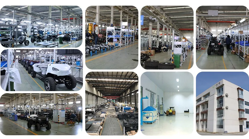 Finished Electric Vehicles