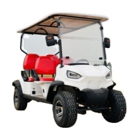 Wholesale Price Durable 2/4 Seater Electric Golf Buggy Gas or Electric Powered Utility Vehicle for Golf Course Fleet Rental