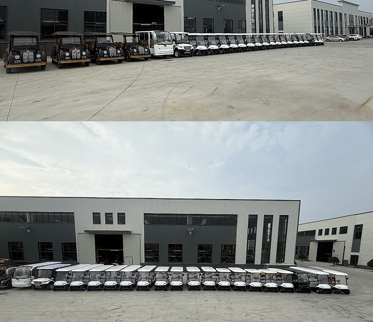 Luxury Electric 6seats Offroad Golf Cart Certified by CE DOT