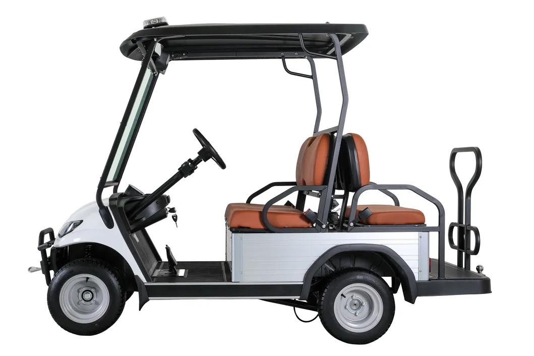 High-Performance Electric Golf Cart for Four Players and More