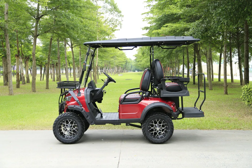 New Model Independent Suspension Comfort Driving Electric Golf Cart with Stable Quality