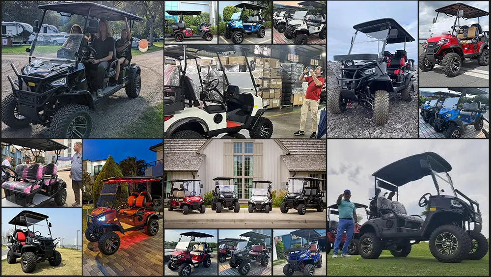 Custom High Performance High Speed Electric Golf Carts 6 Seat Carro De Golfe Hunting Buggy Cart for Sale