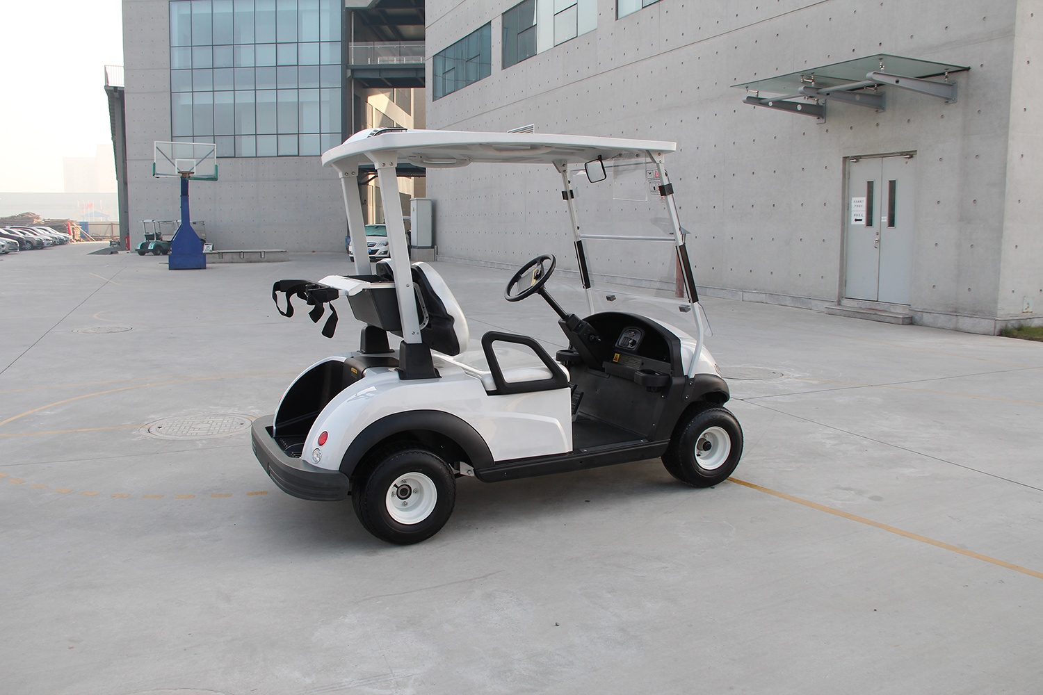4 Wheel Lithium Battery Powered 2 Seater Electric Small Golf Cart for Sale