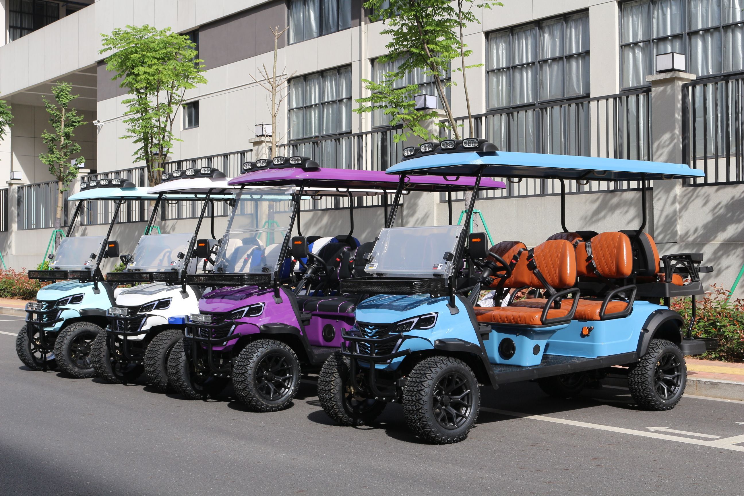 Electric Vehicle Detail View