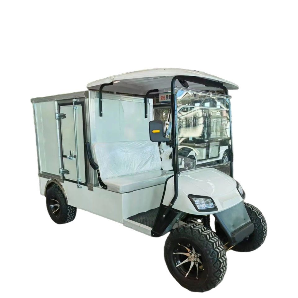 Modern Import EV Utility 2-Seater Electric Golf Cart Truck From China New Condition with Cargo Buckets