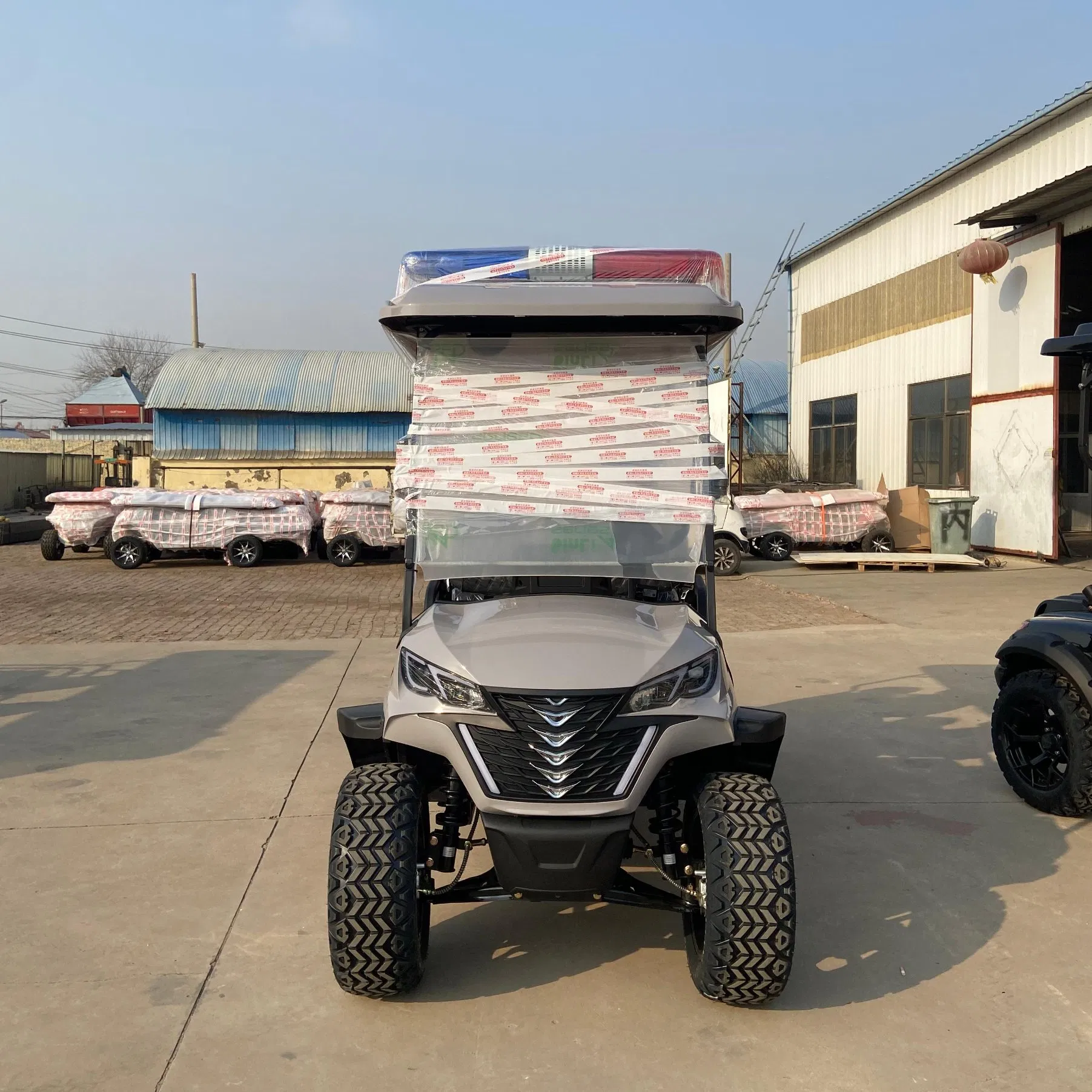 off-Road Golf Cart with Suspension for Comfort