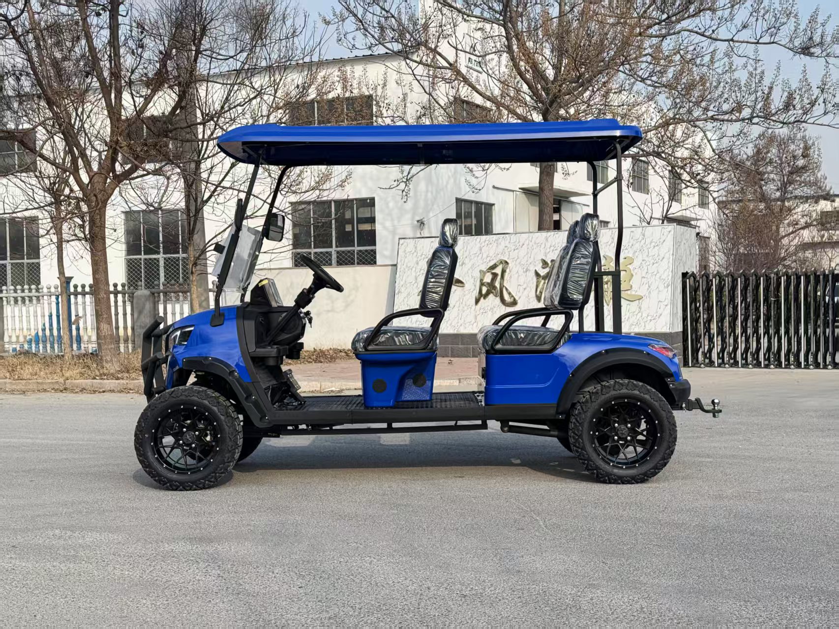 CE New 2 Seater Golf Cart Electric Mini Golf Cart Off-road Golf Cart for Hotels and Airports