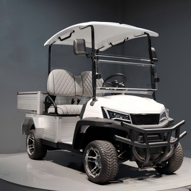 Kepler Off-Road Electric Aluminum Material Big Tire High Torque Drive Waterproof Motor Golf Course Rough Terrain Cart