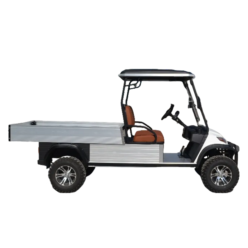 Lithium Battery 2 Seater Mini Car Golf Carts Electric with Cargo Box