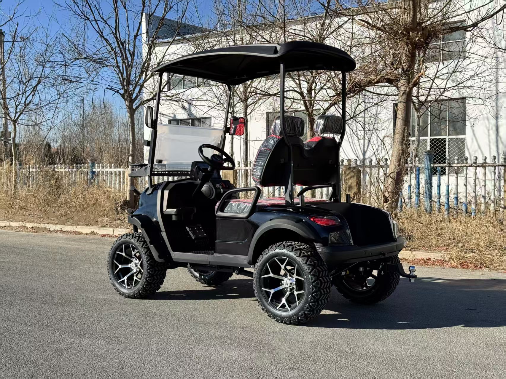 Mini Golf Cart 2-Seater | Luxurious Seats, 60V 100AH, 100km Driving Range, CE DOT Approved