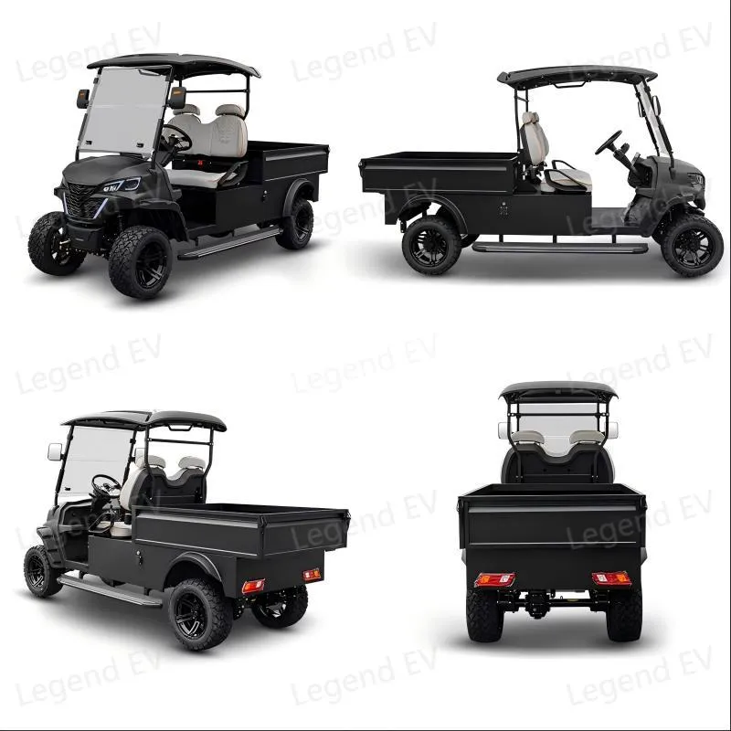 Economic Farm All-Terrain Tyre Electric Buggy Hunting Utility Vehicle Golf Cart with Bed Cargo Box