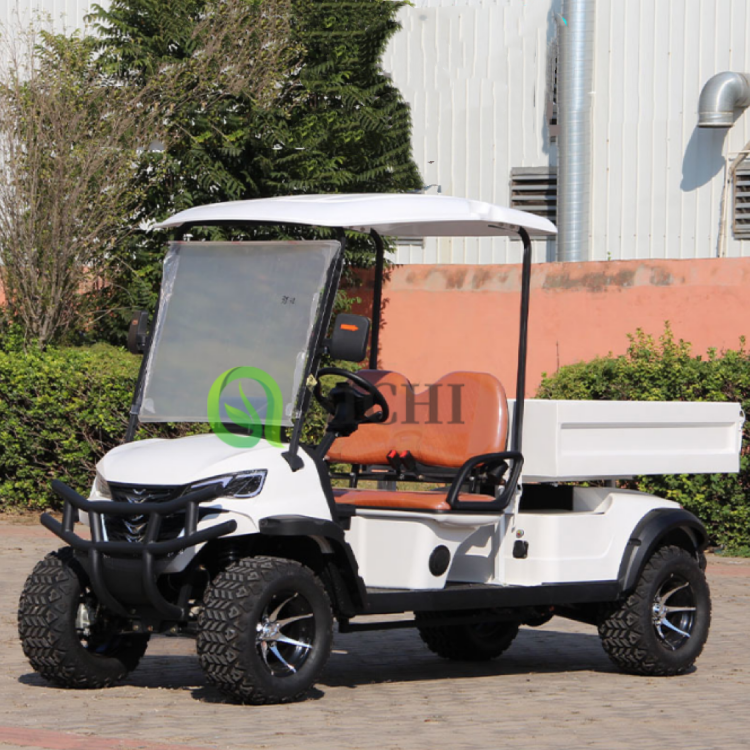 Heavy Duty Electric Golf Cart with Dump Bed 2 Seat Utility Vehicle Golf Cart Tires for Farm and Construction Work