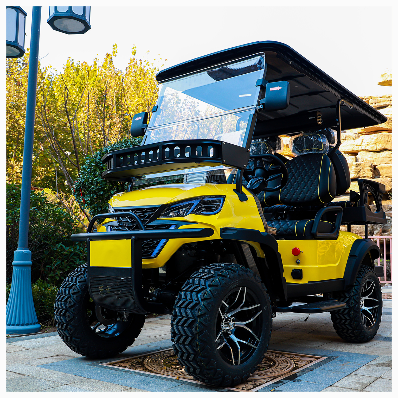 Luxury 2 4 6 Seater Lithium Golf Push Cart Electric Golf Cart