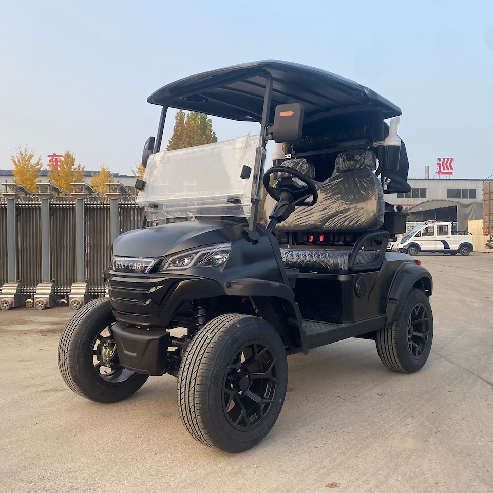 Wholesale Price 2 Seater Golf Cart Lithium Battery CE Certified Golf Buggy Lifelong After-Sale Service Electric Vehicle with GPS