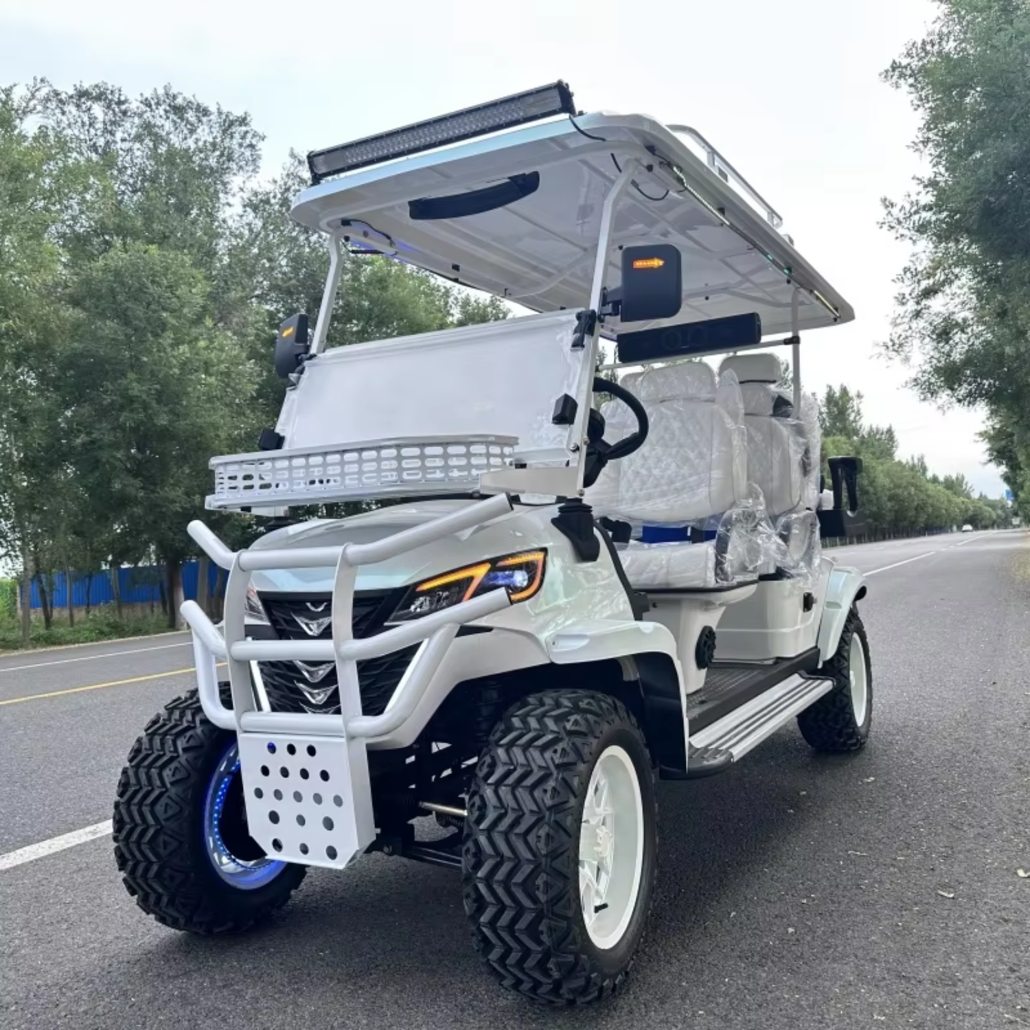 Professional Street Legal 4 Seater Electric Golf Cart Neighborhood Vehicle for Rental Fleet Use EV